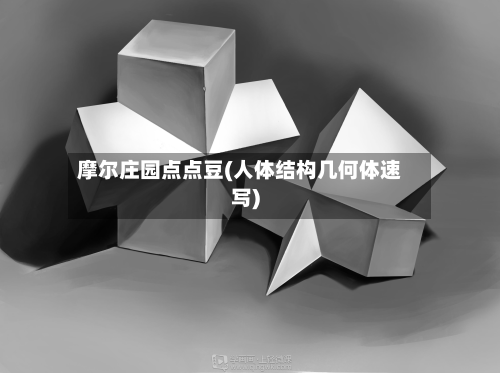摩尔庄园点点豆(人体结构几何体速写)