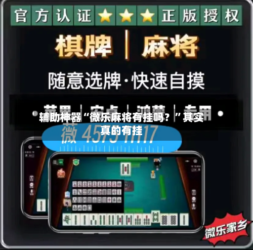 辅助神器“微乐麻将有挂吗？”其实真的有挂-第3张图片