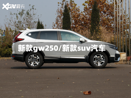 新款gw250/新款suv汽车