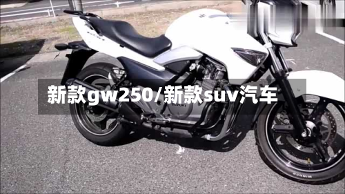 新款gw250/新款suv汽车-第2张图片