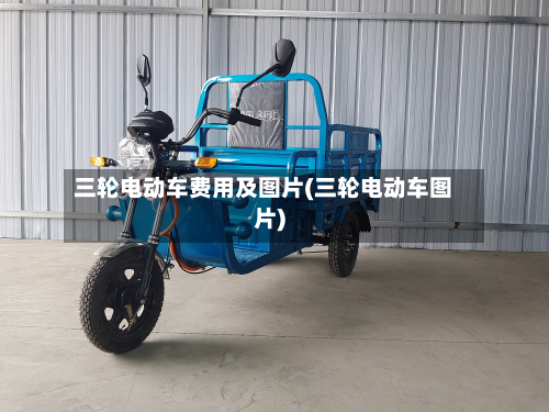 三轮电动车费用及图片(三轮电动车图片)