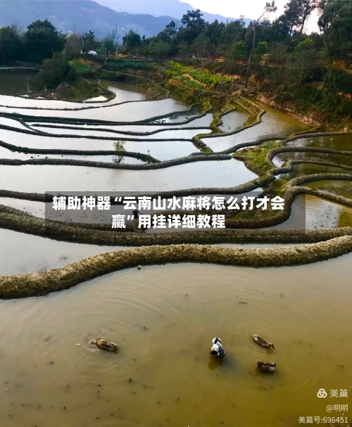辅助神器“云南山水麻将怎么打才会赢”用挂详细教程-第3张图片