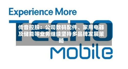 传音控股：公司数码配件	、家用电器及储能等业务继续坚持多品牌发展策略-第1张图片