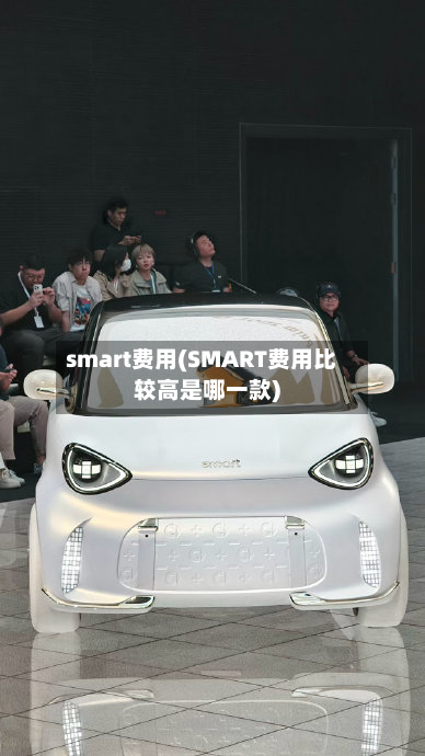 smart费用(SMART费用比较高是哪一款)