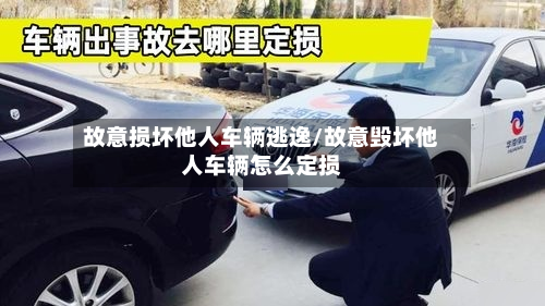 故意损坏他人车辆逃逸/故意毁坏他人车辆怎么定损