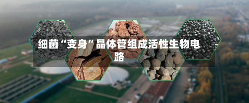 细菌“变身”晶体管组成活性生物电路