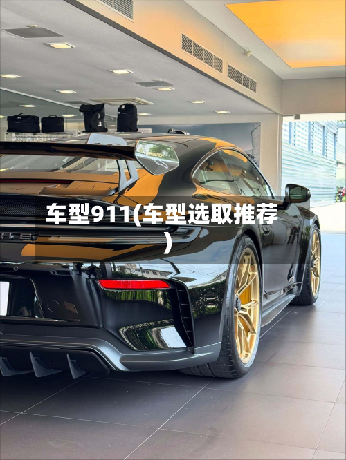 车型911(车型选取推荐)-第2张图片
