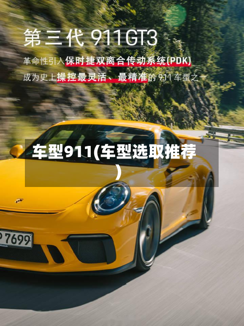 车型911(车型选取推荐)