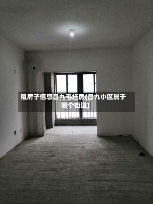 租房子信息昌九毛坯房(昌九小区属于哪个街道)