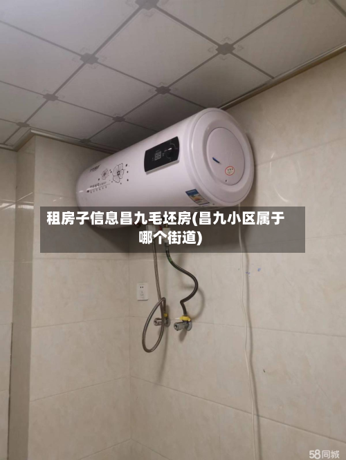 租房子信息昌九毛坯房(昌九小区属于哪个街道)-第3张图片