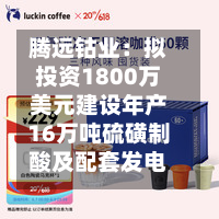 腾远钴业：拟投资1800万美元建设年产16万吨硫磺制酸及配套发电项目