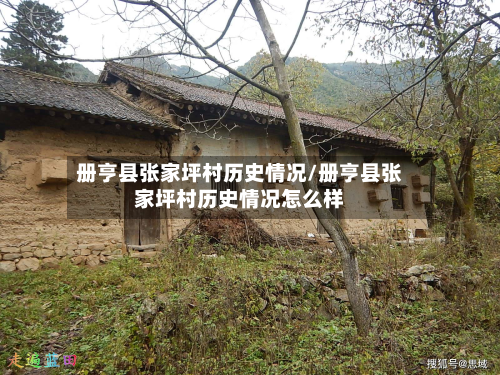 册亨县张家坪村历史情况/册亨县张家坪村历史情况怎么样