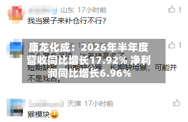 康龙化成：2026年半年度营收同比增长17.92% 净利润同比增长6.96%-第2张图片