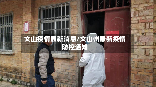 文山疫情最新消息/文山州最新疫情防控通知-第2张图片