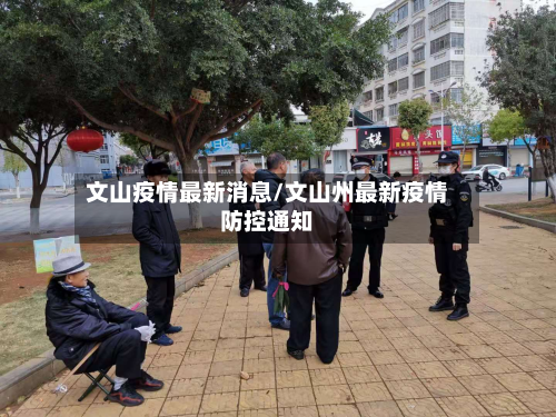 文山疫情最新消息/文山州最新疫情防控通知-第3张图片