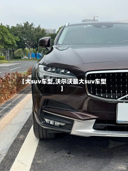 【大suv车型,沃尔沃最大suv车型】-第3张图片