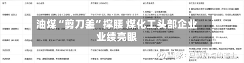 油煤“剪刀差”撑腰 煤化工头部企业业绩亮眼-第2张图片