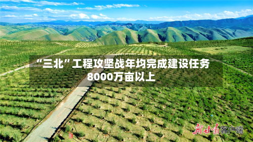 “三北”工程攻坚战年均完成建设任务8000万亩以上