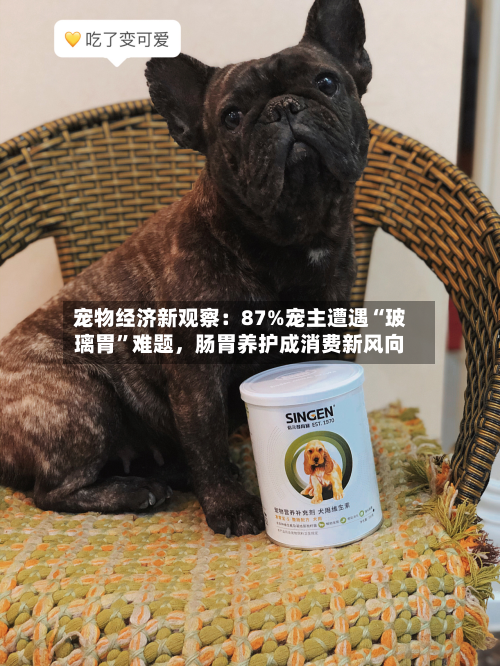 宠物经济新观察：87%宠主遭遇“玻璃胃”难题，肠胃养护成消费新风向
