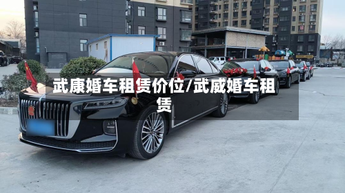 武康婚车租赁价位/武威婚车租赁-第2张图片