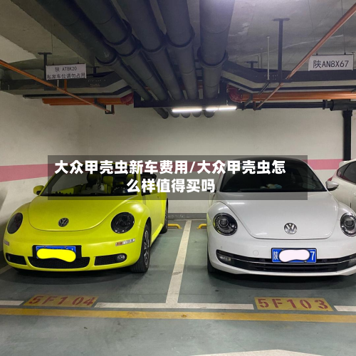 大众甲壳虫新车费用/大众甲壳虫怎么样值得买吗