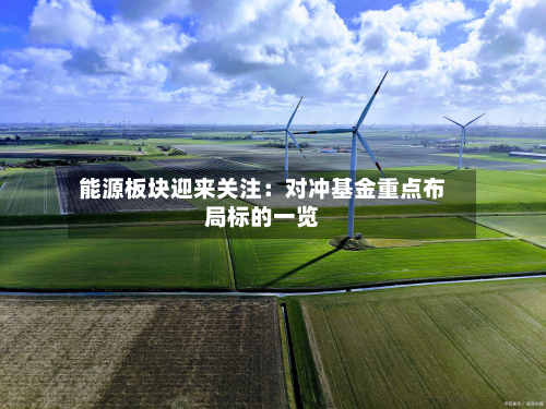 能源板块迎来关注：对冲基金重点布局标的一览-第3张图片