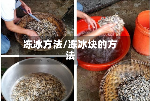 冻冰方法/冻冰块的方法