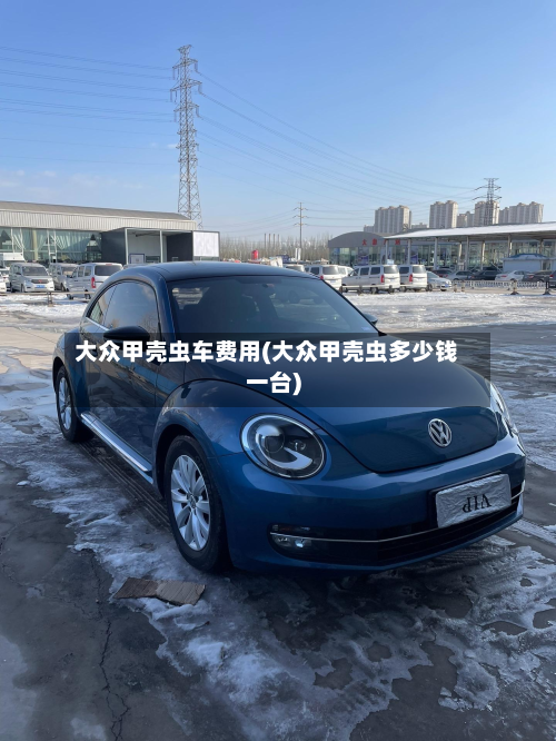 大众甲壳虫车费用(大众甲壳虫多少钱一台)-第3张图片