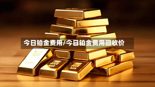 今日铂金费用/今日铂金费用回收价-第3张图片