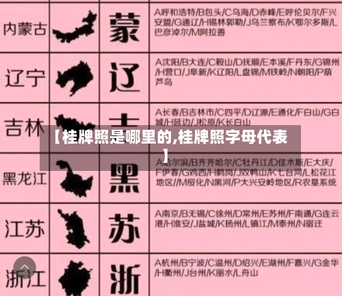 【桂牌照是哪里的,桂牌照字母代表】-第2张图片
