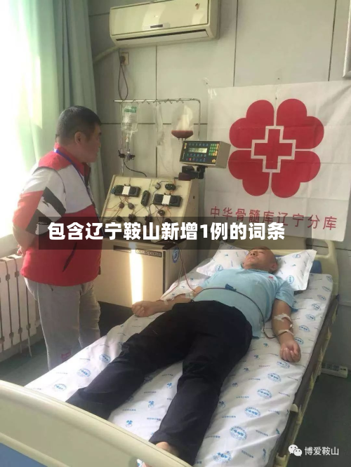 包含辽宁鞍山新增1例的词条
