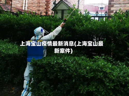 上海宝山疫情最新消息(上海宝山最新案件)