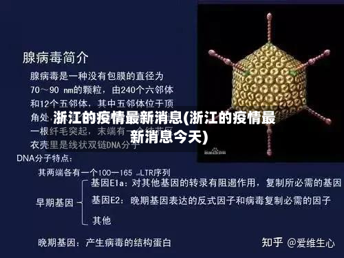 浙江的疫情最新消息(浙江的疫情最新消息今天)-第2张图片