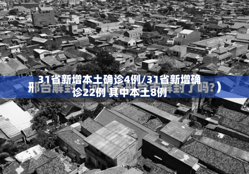 31省新增本土确诊4例/31省新增确诊22例 其中本土8例