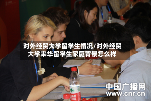 对外经贸大学留学生情况/对外经贸大学来华留学生家庭背景怎么样