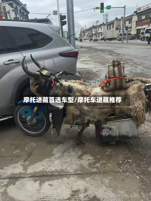摩托进藏首选车型/摩托车进藏推荐