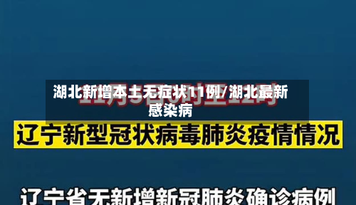 湖北新增本土无症状11例/湖北最新感染病-第2张图片