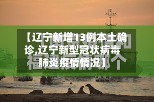 【辽宁新增13例本土确诊,辽宁新型冠状病毒肺炎疫情情况】