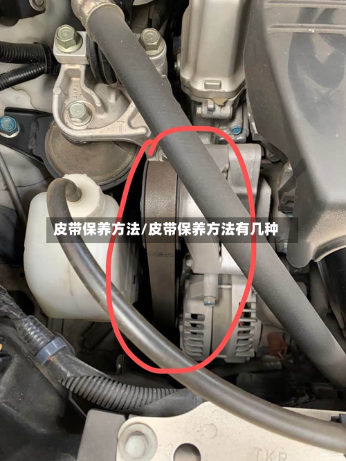 皮带保养方法/皮带保养方法有几种-第2张图片