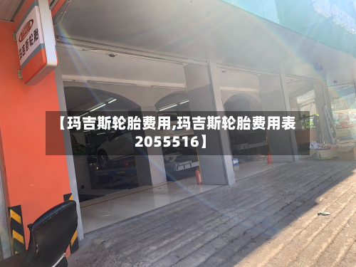 【玛吉斯轮胎费用,玛吉斯轮胎费用表2055516】-第3张图片