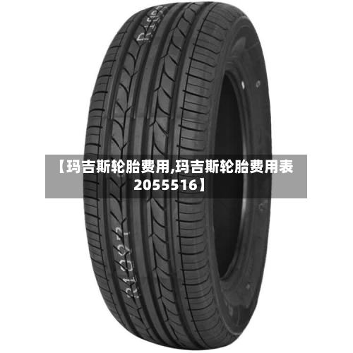 【玛吉斯轮胎费用,玛吉斯轮胎费用表2055516】-第2张图片