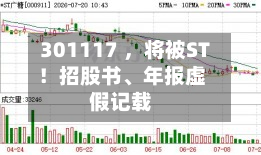 301117 ，将被ST！招股书	、年报虚假记载-第3张图片