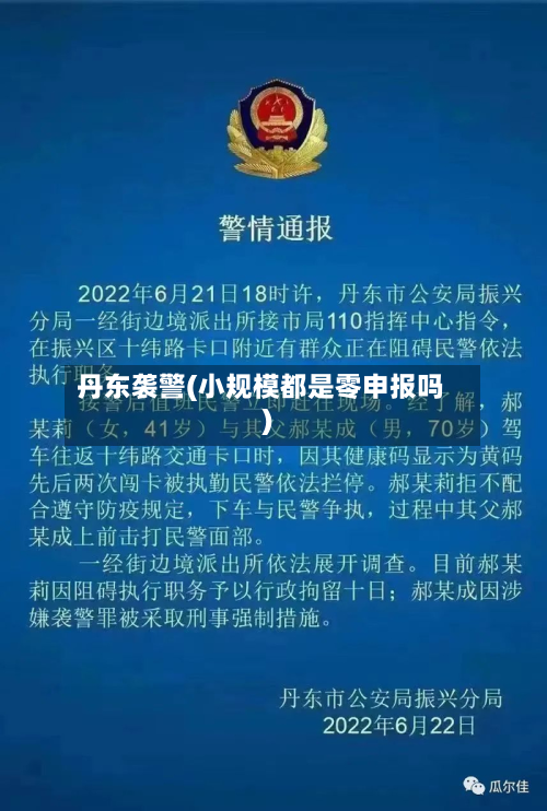 丹东袭警(小规模都是零申报吗)