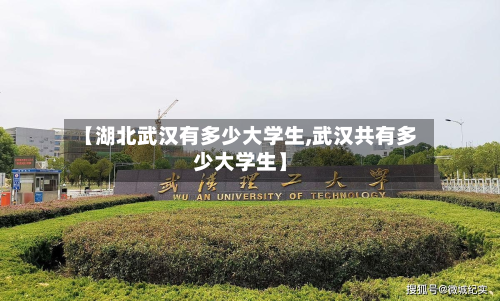 【湖北武汉有多少大学生,武汉共有多少大学生】-第2张图片