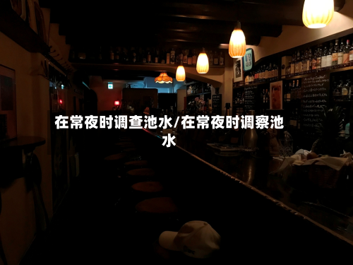 在常夜时调查池水/在常夜时调察池水-第3张图片