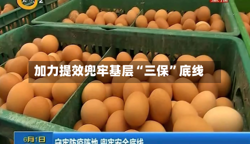 加力提效兜牢基层“三保”底线