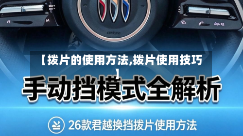 【拨片的使用方法,拨片使用技巧】-第2张图片