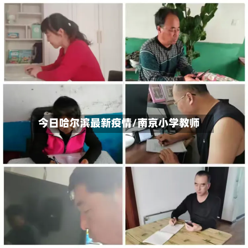 今日哈尔滨最新疫情/南京小学教师-第2张图片