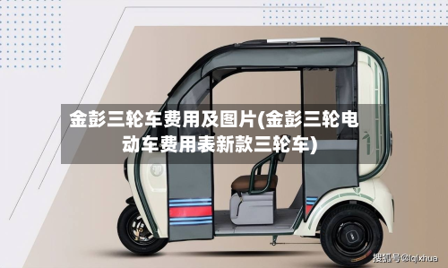 金彭三轮车费用及图片(金彭三轮电动车费用表新款三轮车)-第3张图片