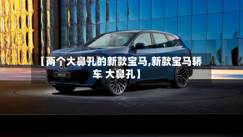 【两个大鼻孔的新款宝马,新款宝马轿车 大鼻孔】